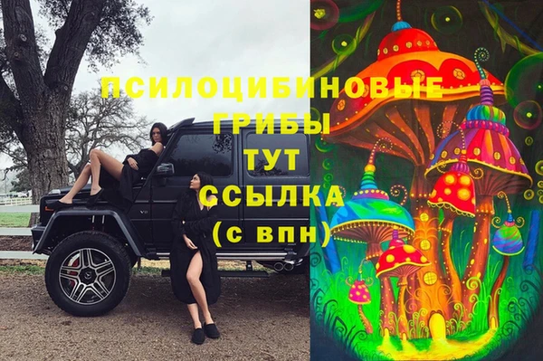 метадон Арсеньев