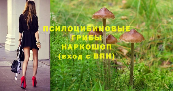 метадон Арсеньев