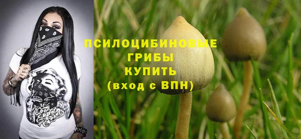 таблы Армянск