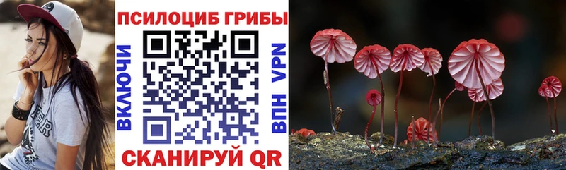 хочу   Муром  Галлюциногенные грибы MAGIC MUSHROOMS 